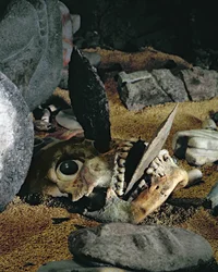 Cráneo con cuchillos de pedernal clavados en la boca y la nariz medios mixtos (detalle)